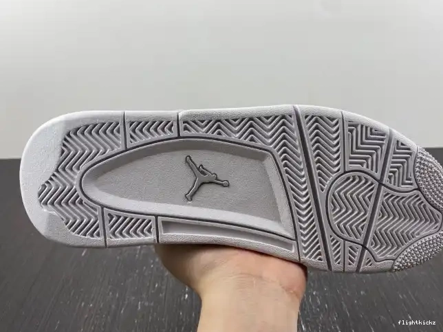 Retro Snakeskin 819139-030 Jordan 4 0604